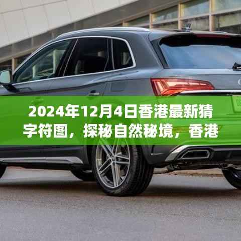 香港猜字符图之旅，探秘自然秘境，寻找内心的宁静与平和（2024年12月4日最新）
