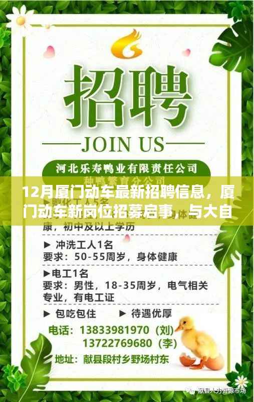 对答如流 第3页