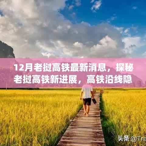 老挝高铁最新进展揭秘,沿线小巷特色小店探秘之旅