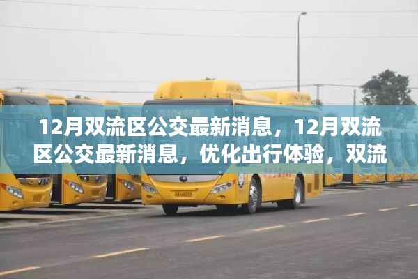 12月双流区公交最新消息,12月双流区公交最新消息,优化出行体验,双流公交新动态