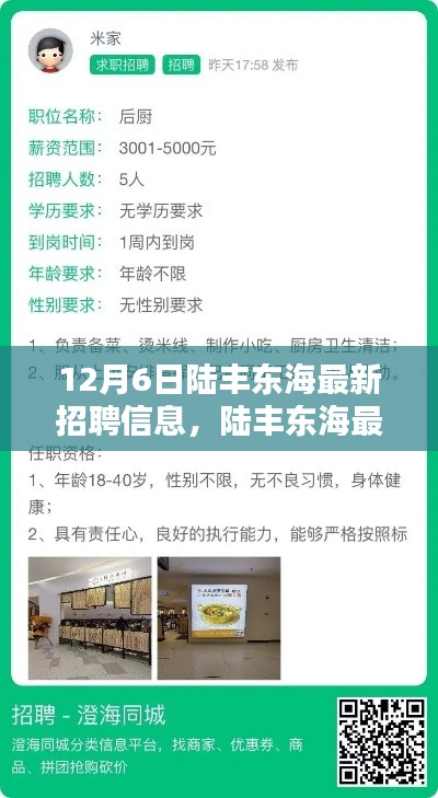 陆丰东海最新招聘信息揭秘,全新职位等你来挑战!