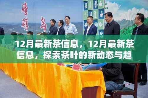 12月最新茶信息,12月最新茶信息,探索茶叶的新动态与趋势