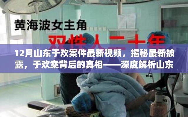 揭秘山东于欢案真相,深度解析最新视频曝光的内容