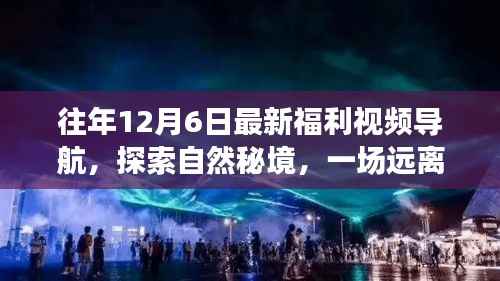 历年12月6日福利视频导航,探索自然秘境的心灵之旅