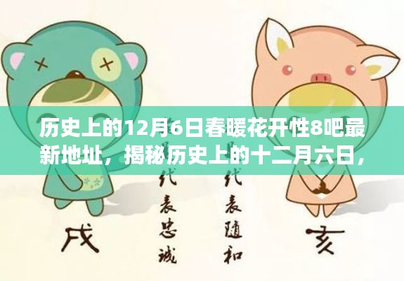 揭秘历史上的十二月六日,春暖花开的知识探索之旅(最新资讯更新)