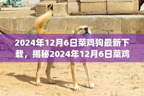 揭秘,2024年12月6日菜鸡狗游戏最新下载动态解析