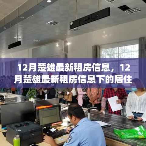 12月楚雄最新租房信息,12月楚雄最新租房信息下的居住选择,深度分析与个人立场