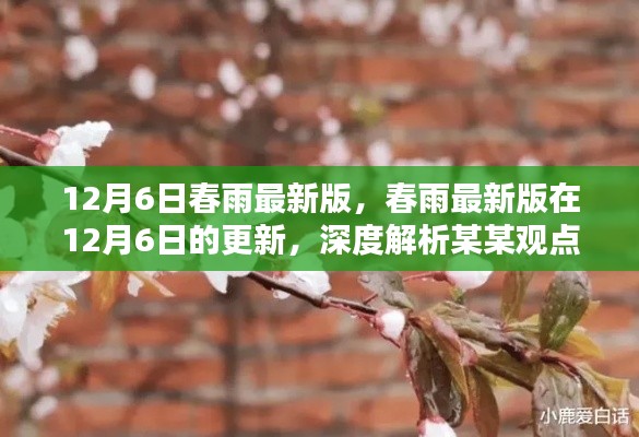 春雨最新版12月6日更新深度解析,聚焦某某观点