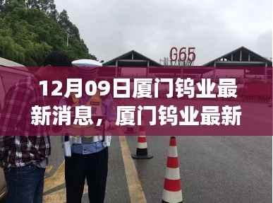 12月09日厦门钨业最新消息,厦门钨业最新消息获取与解读全攻略,轻松掌握最新动态
