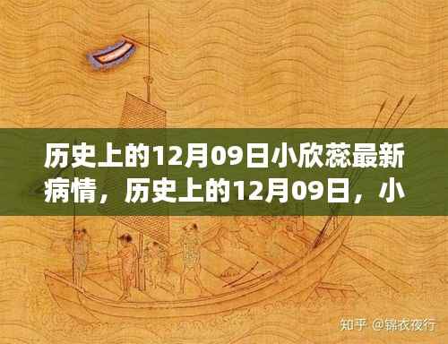 小欣蕊病情最新进展,历史性的12月09日更新