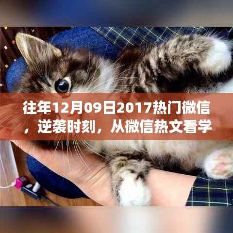 省吃俭用 第2页