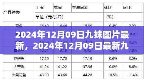 接连不断 第2页