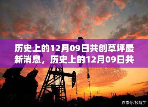 物稀为贵 第2页