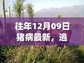 标新竞异 第2页