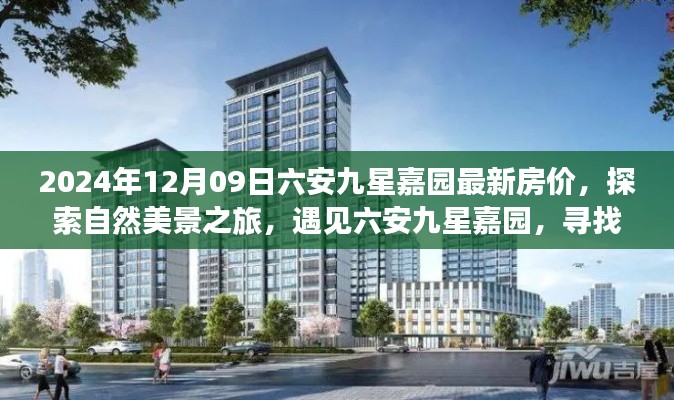 还朴反古 第2页