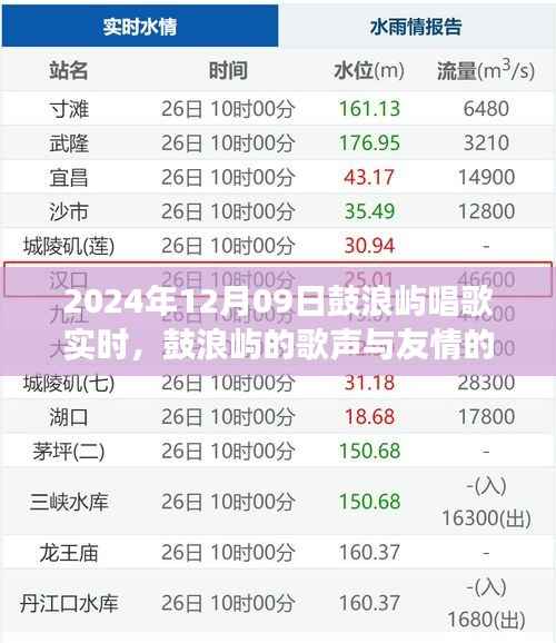 鼓浪屿歌声与友情的交织，2024年12月9日的日常故事实时分享