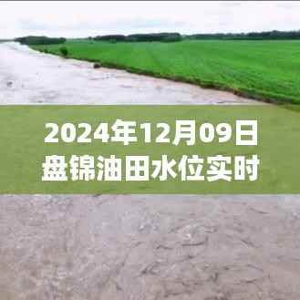 花香鸟语 第2页