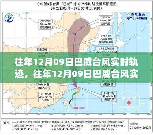 多维视角下的巴威台风实时轨迹观点碰撞与个人立场分析