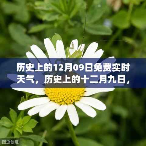 历史上的十二月九日,免费实时天气的历史变迁探索