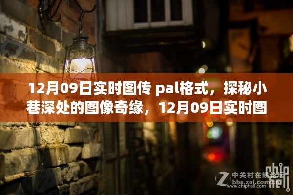 劳燕分飞 第3页
