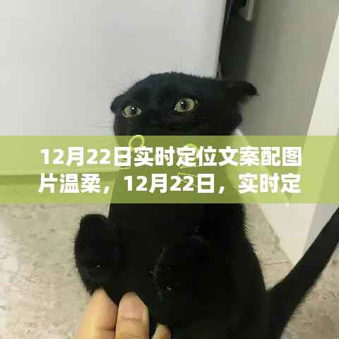 母以子贵 第2页