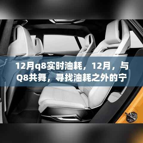 12月Q8实时油耗探索,共舞之旅,探寻油耗与美景的平衡