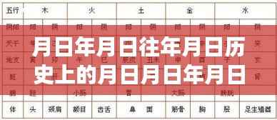穿越时空的公交卡套,探寻历史日月与实时公交新篇章