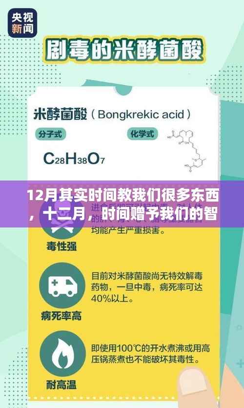 十二月,时间与智慧的馈赠