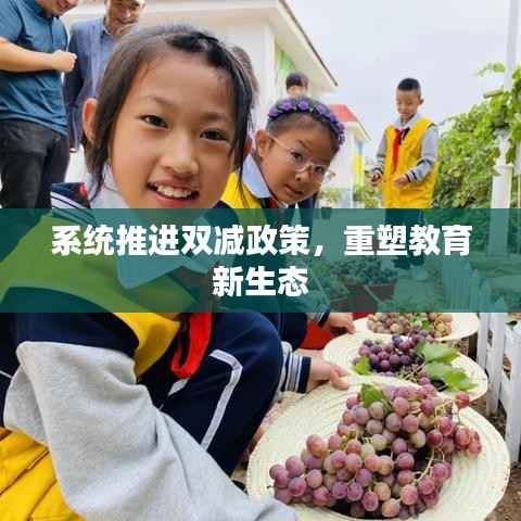 不翼而飞 第2页