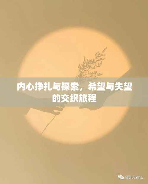 内心挣扎与探索,希望与失望的交织旅程
