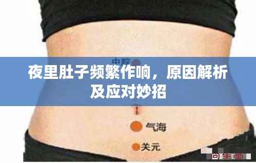 观往知来 第2页