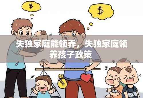 失独家庭能领养,失独家庭领养孩子政策