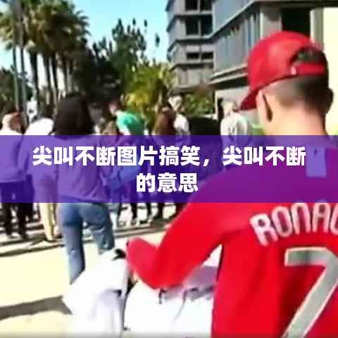 橘虞初梦 第2页