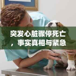 营销网络 第195页