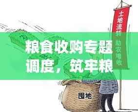 粮食收购专题调度，筑牢粮食安全防线的重要一环