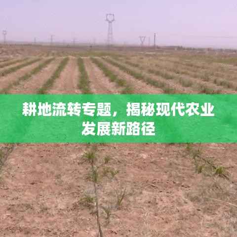 蹑蹻檐簦 第2页