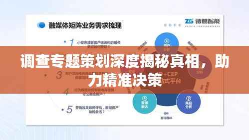 调查专题策划深度揭秘真相,助力精准决策