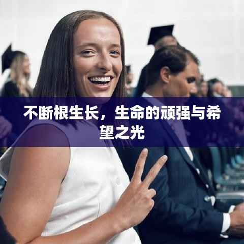 七贵三公 第2页