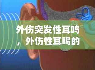 鸢飞戾天 第2页