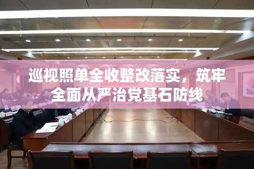巡视照单全收整改落实,筑牢全面从严治党基石防线