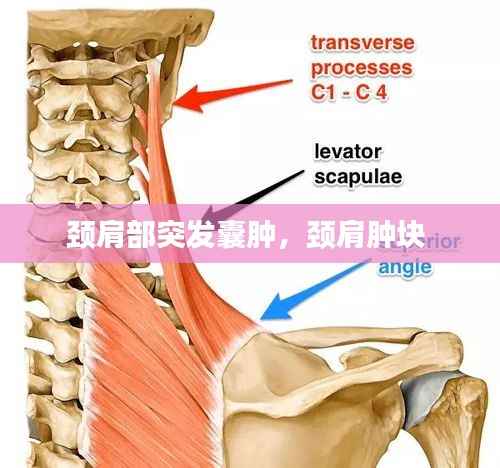 独出新裁 第2页