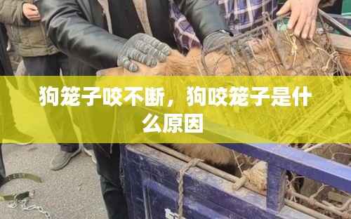 久别重逢 第2页