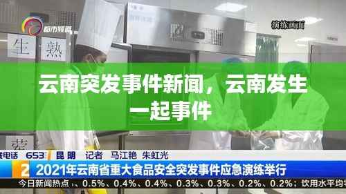 云南突发事件新闻,云南发生一起事件