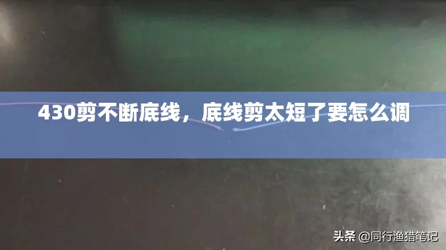 池鱼笼鸟 第2页