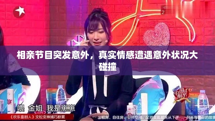 碧瓦飞甍 第2页
