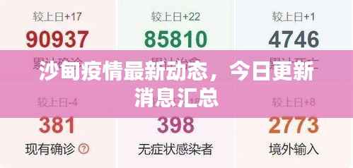 沙甸疫情最新动态,今日更新消息汇总