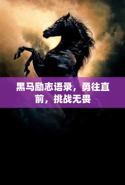 黑马励志语录,勇往直前,挑战无畏