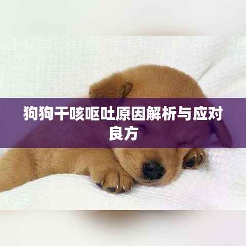 狗狗干咳呕吐原因解析与应对良方