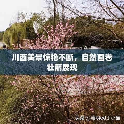 悬驼就石 第2页