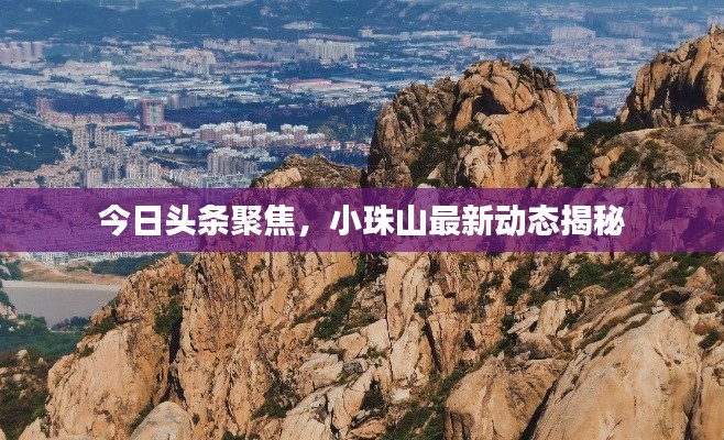今日头条聚焦,小珠山最新动态揭秘